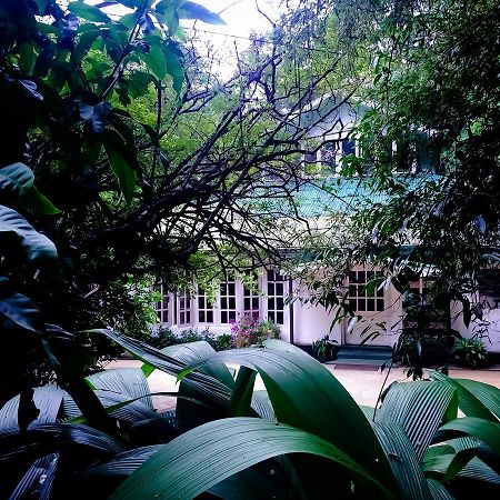 Surrey Bird Sanctuary & Holiday Resort Welimada Exterior photo